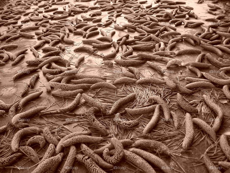 Placid. Peaceful afternoon 