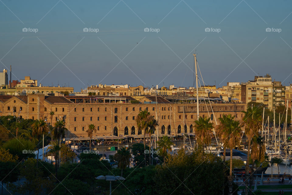 Golden Hour in Barcelona 