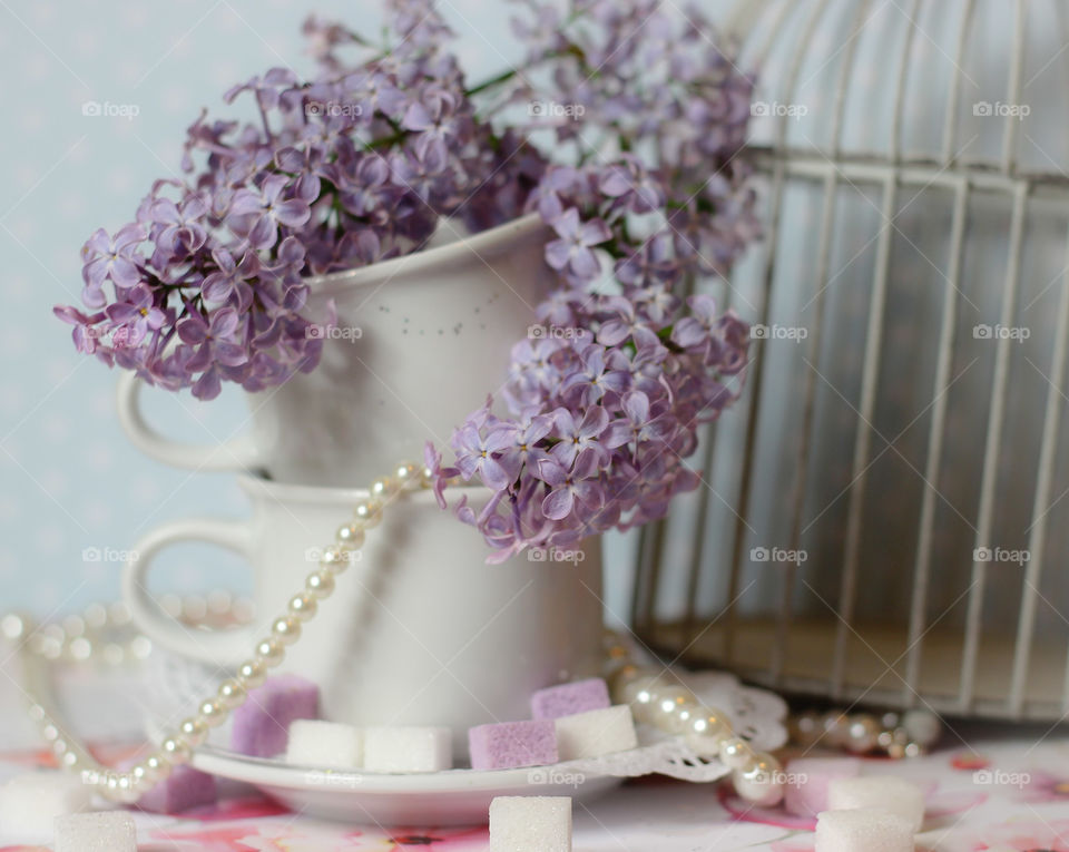 lilac flowers violet beautiful glitter