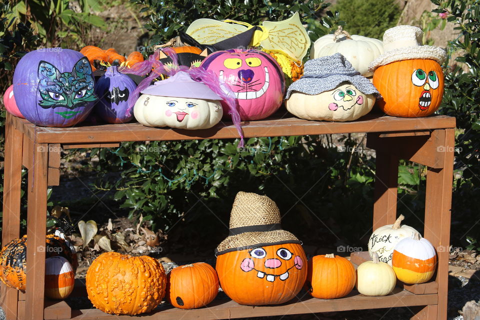 Decorated pumpkins