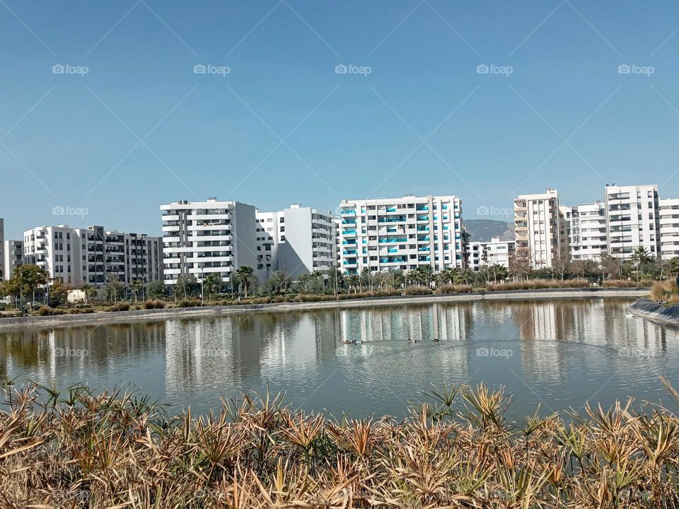 Building between the nature