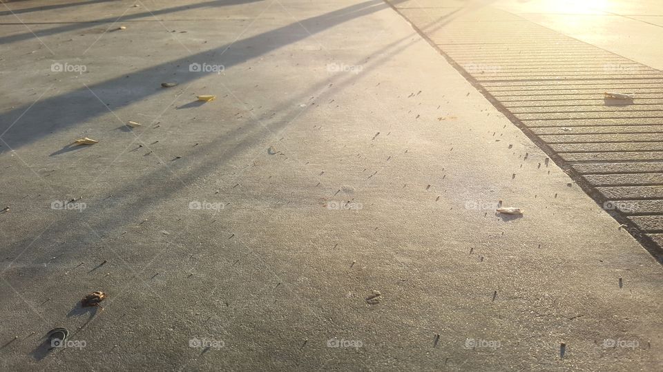 pavement casting shadow