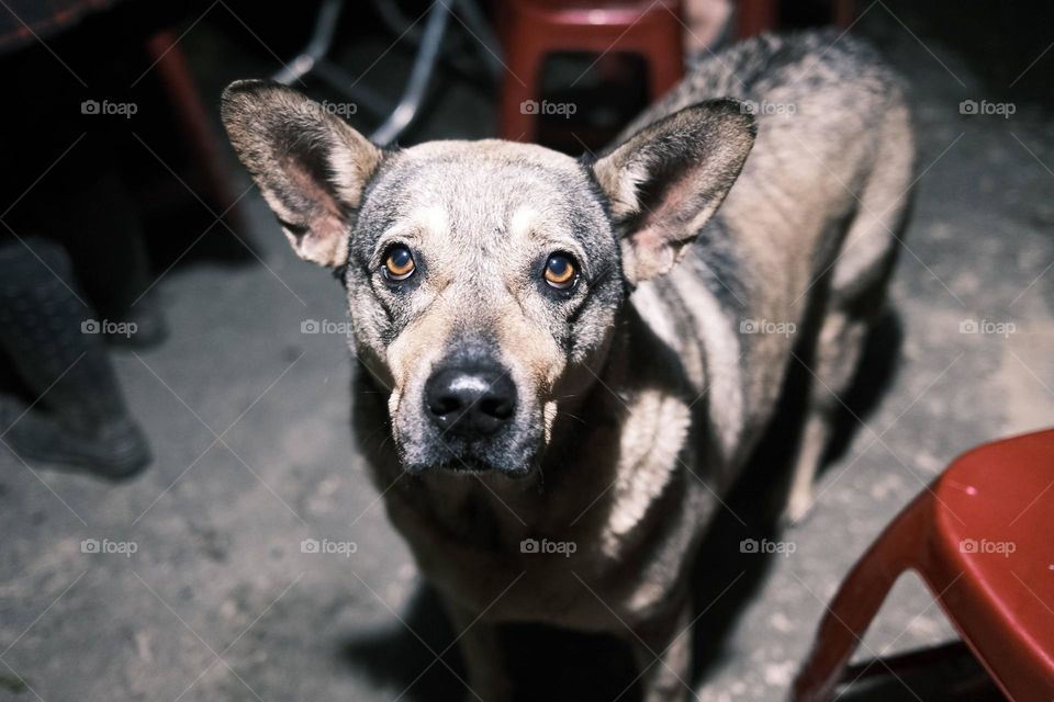 Life and art in visual impression