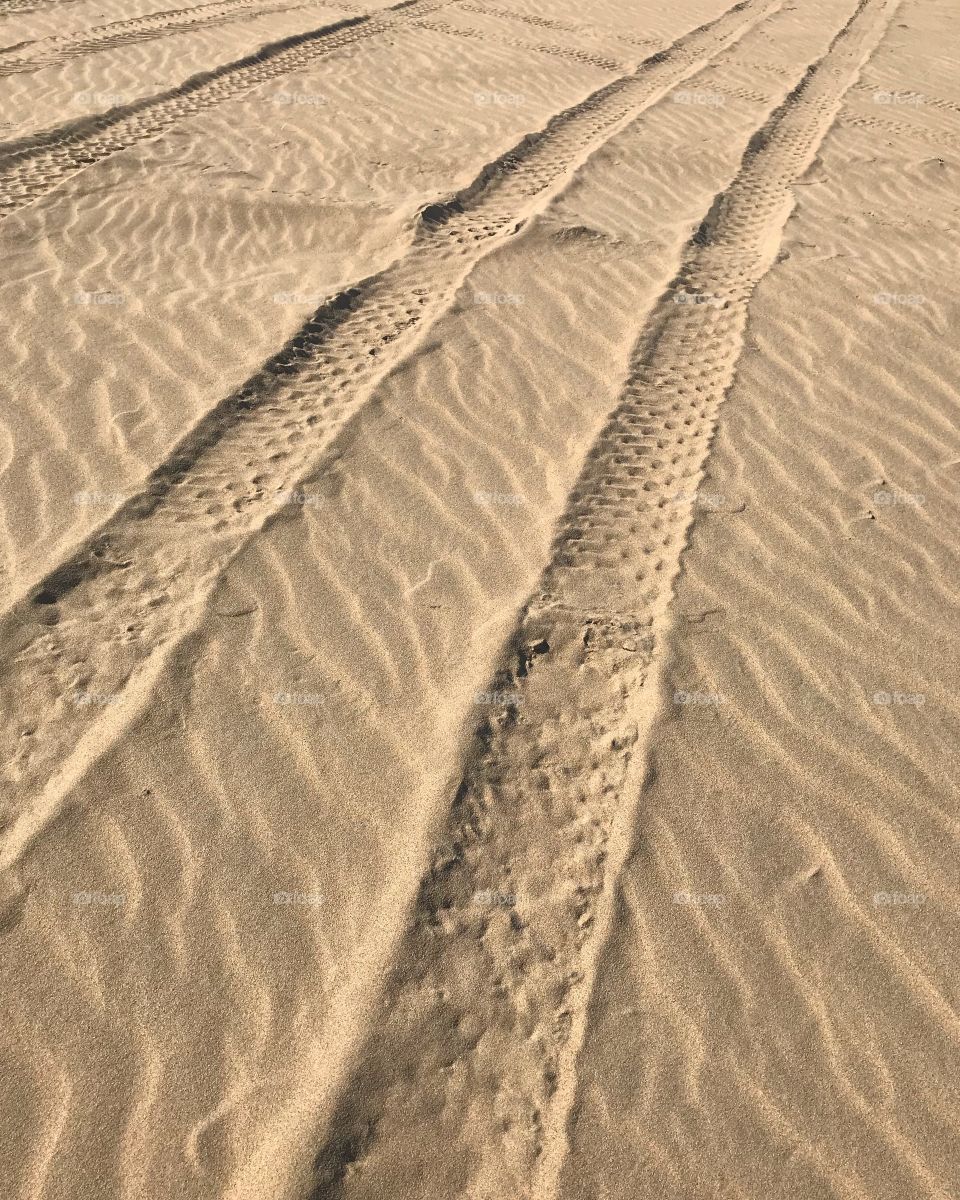 Tire marks left in the soft sand of the dunes after a recent and exciting ride. 