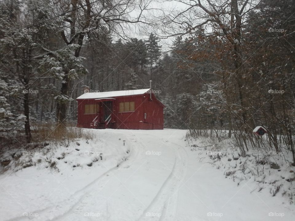 wintery cabin. cabin in the woods