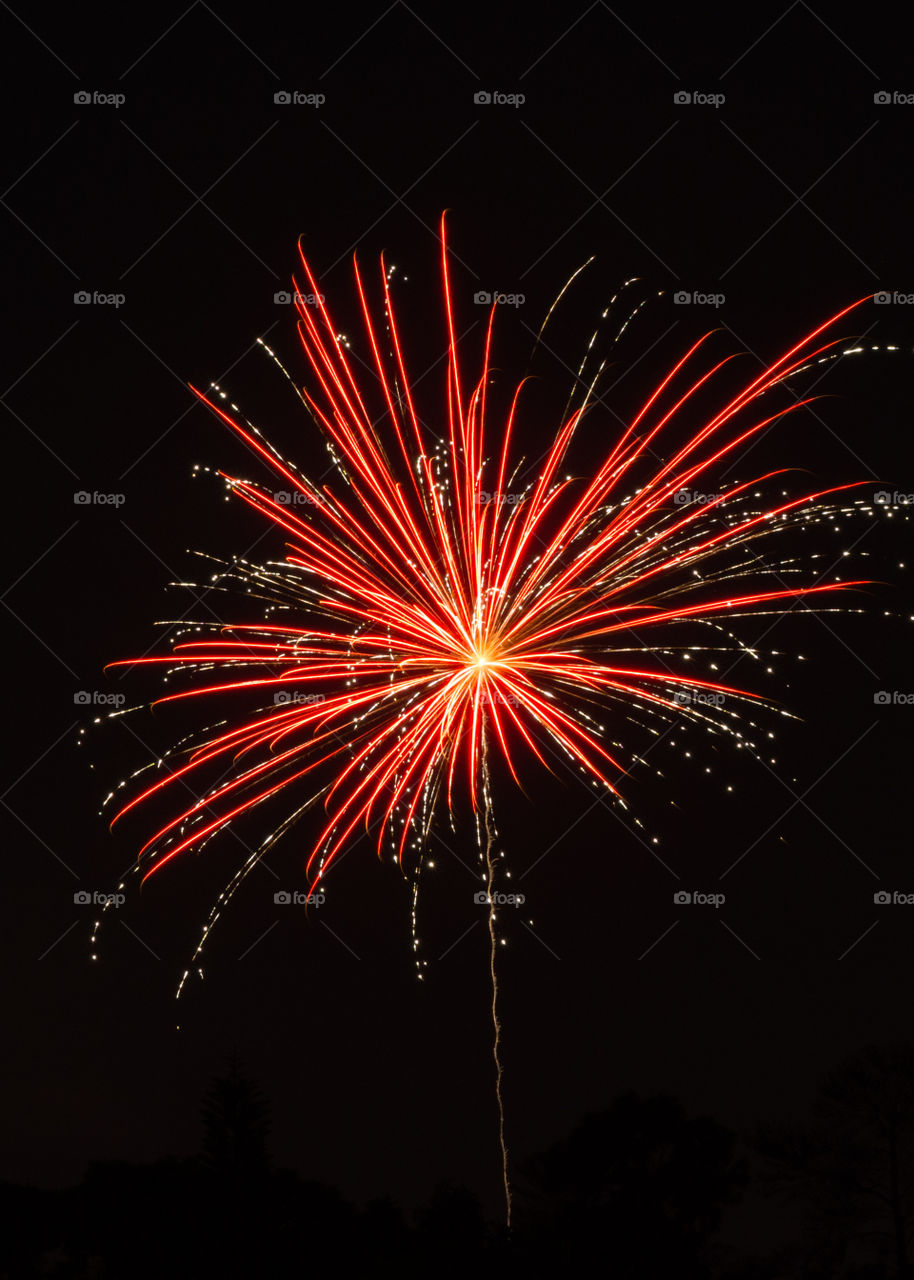 beautiful bright red with gold accents burst  of fireworks in a black sky background