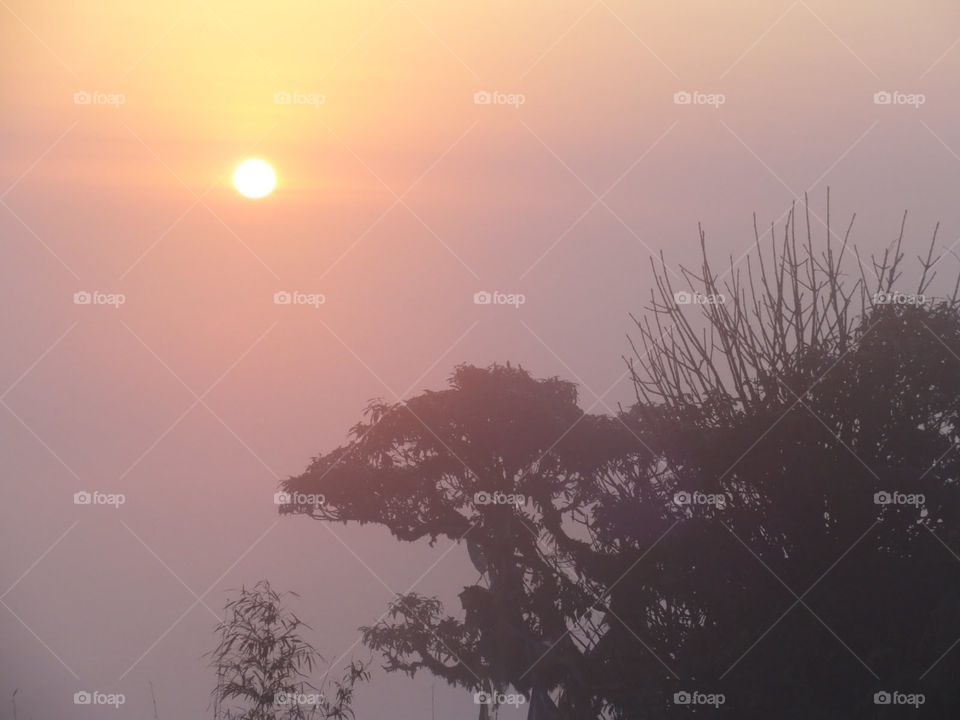 Sunrise landscape