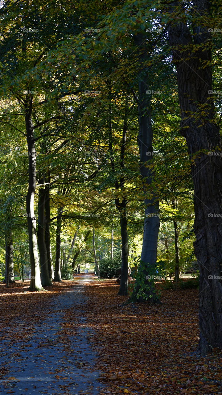 In a park in Antwerp