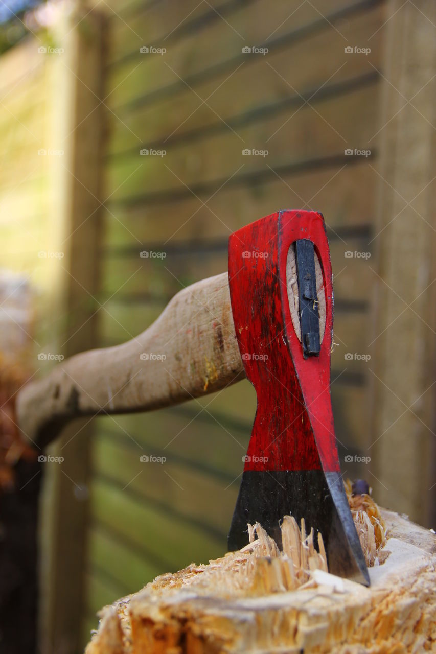 axe stuck in a tree