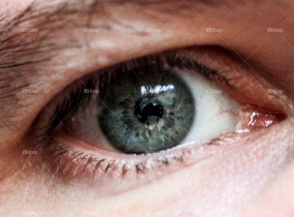 Close-up of eye