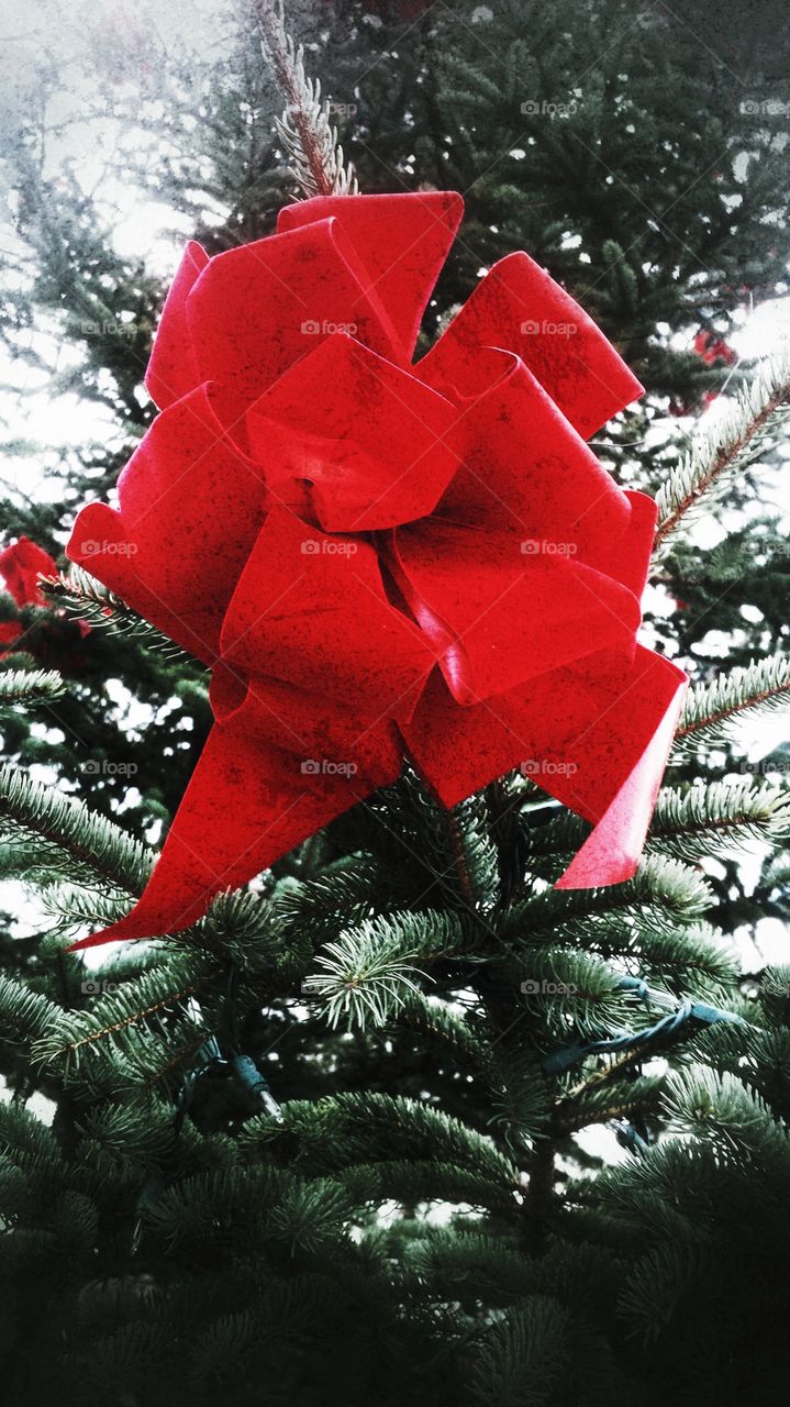 Red Christmas Tree Bow