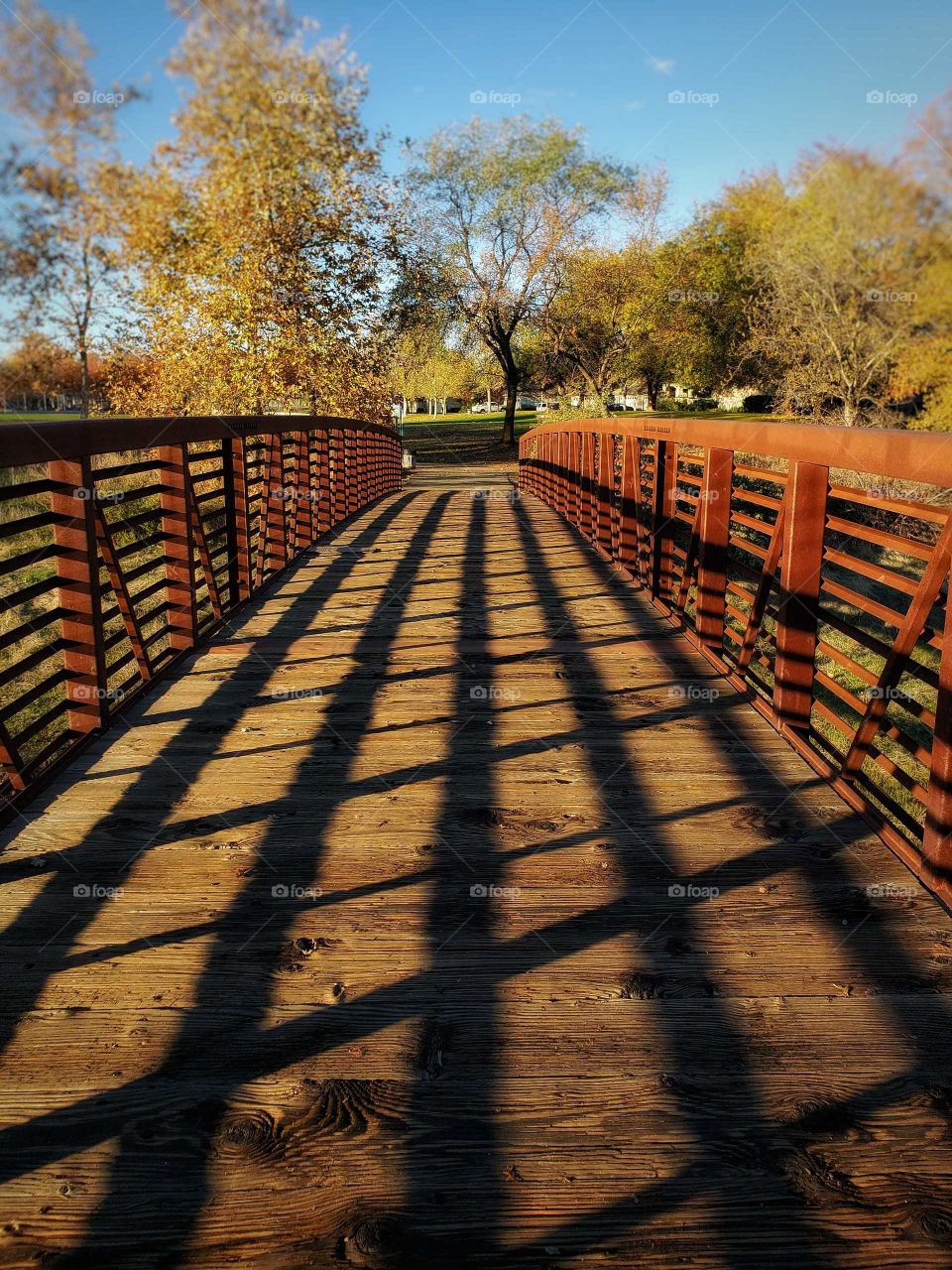 wooden bridge on the trails and parks