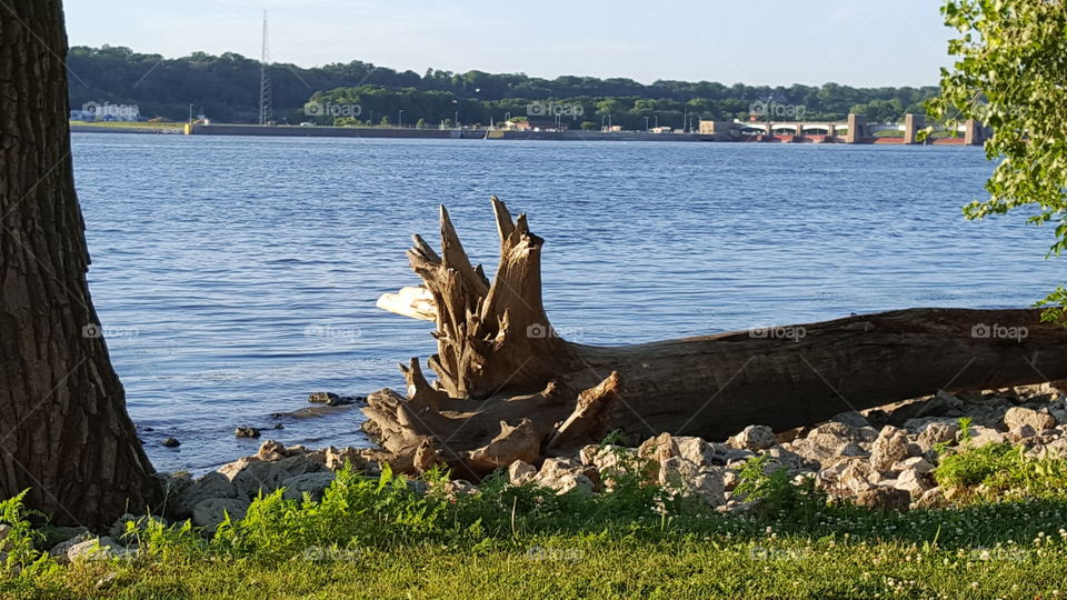 huge water log