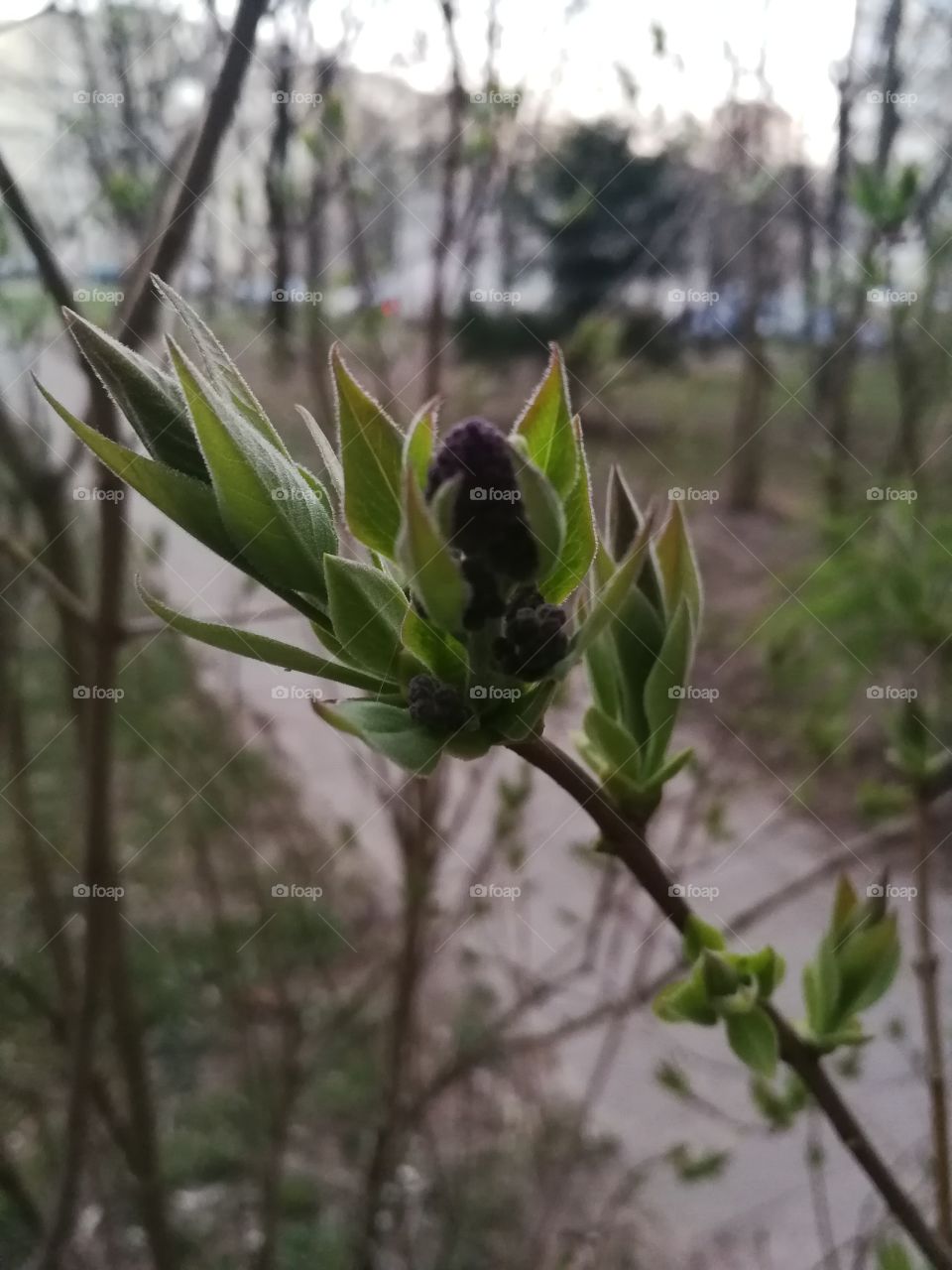 Spring is in the air