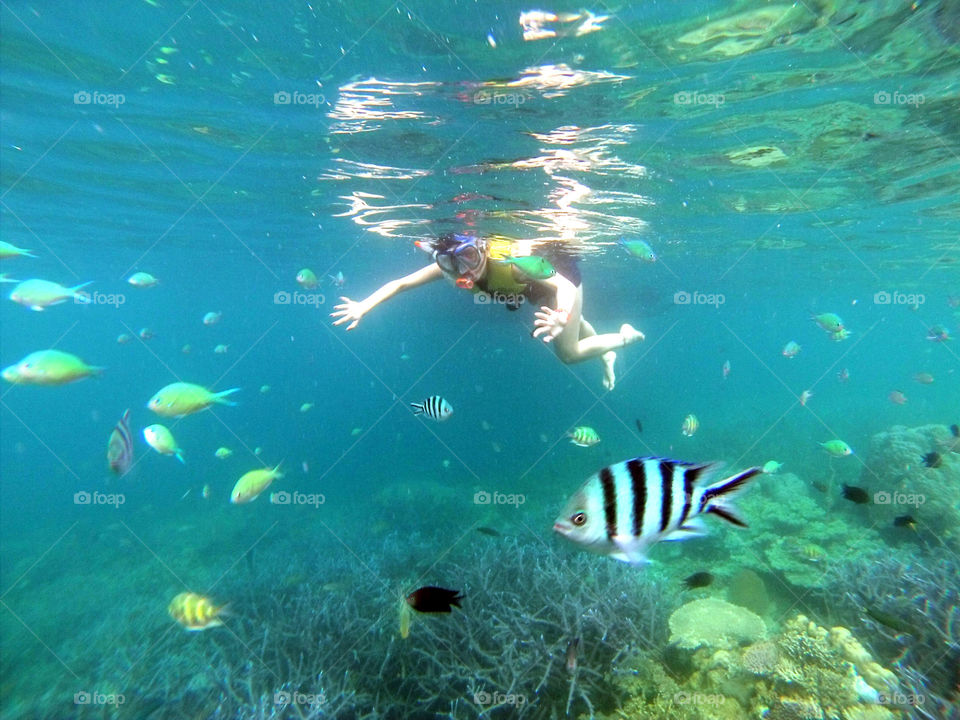 underwater snorkeling