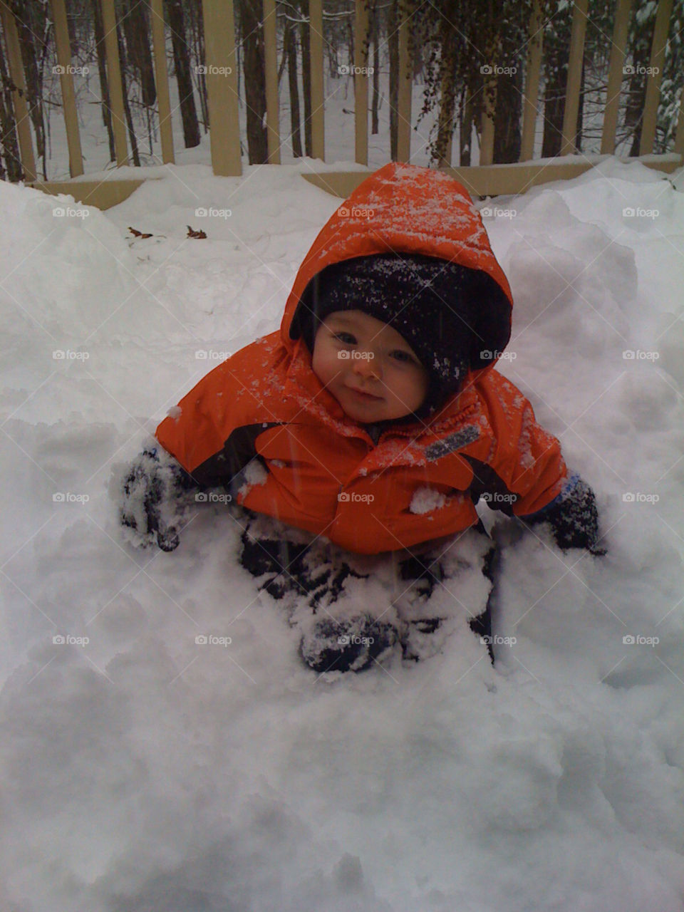 upstate new york snow winter baby by Carnevale