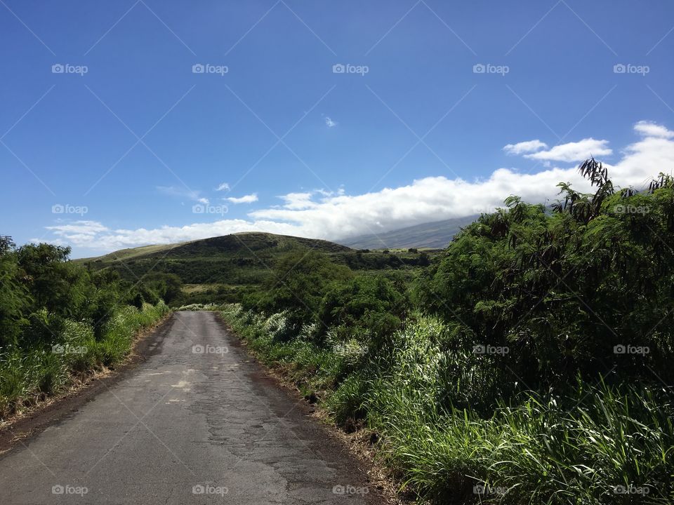 A lush, green, breath taking drive down the Road to Hana in Maui, Hawaii. 