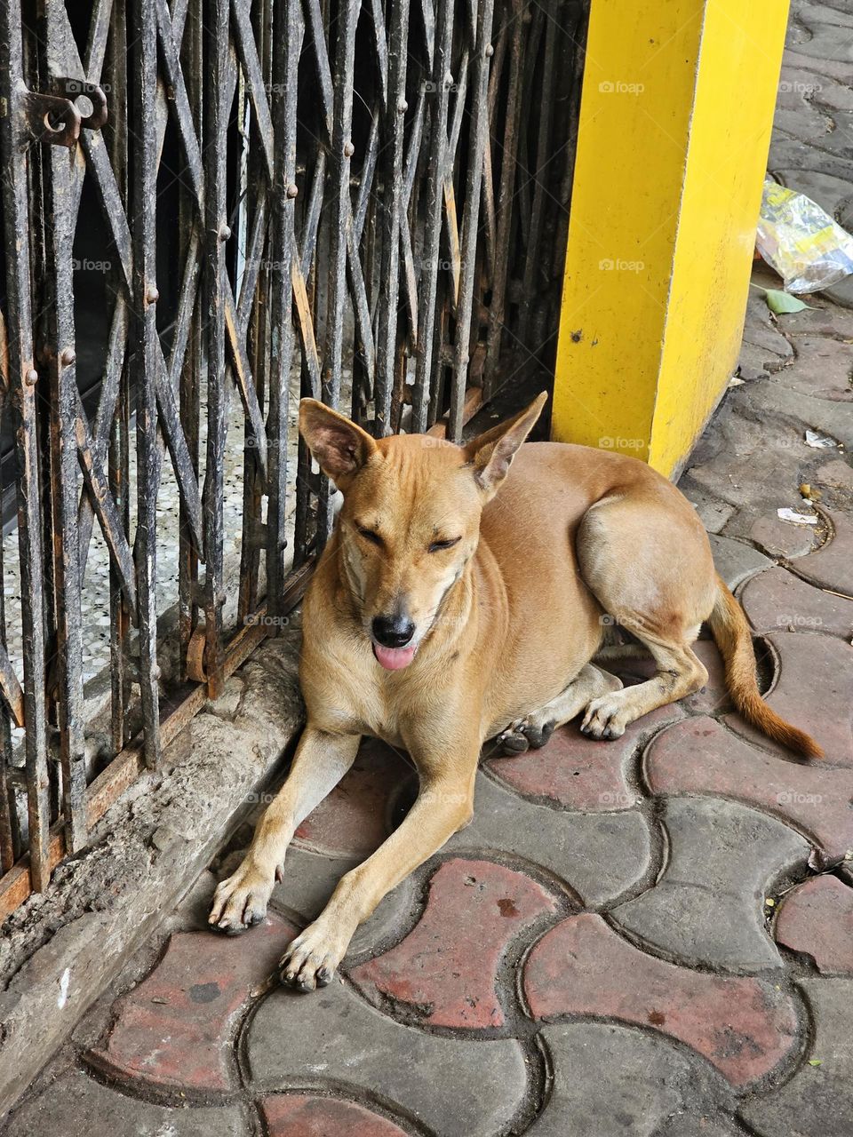 we have also right...