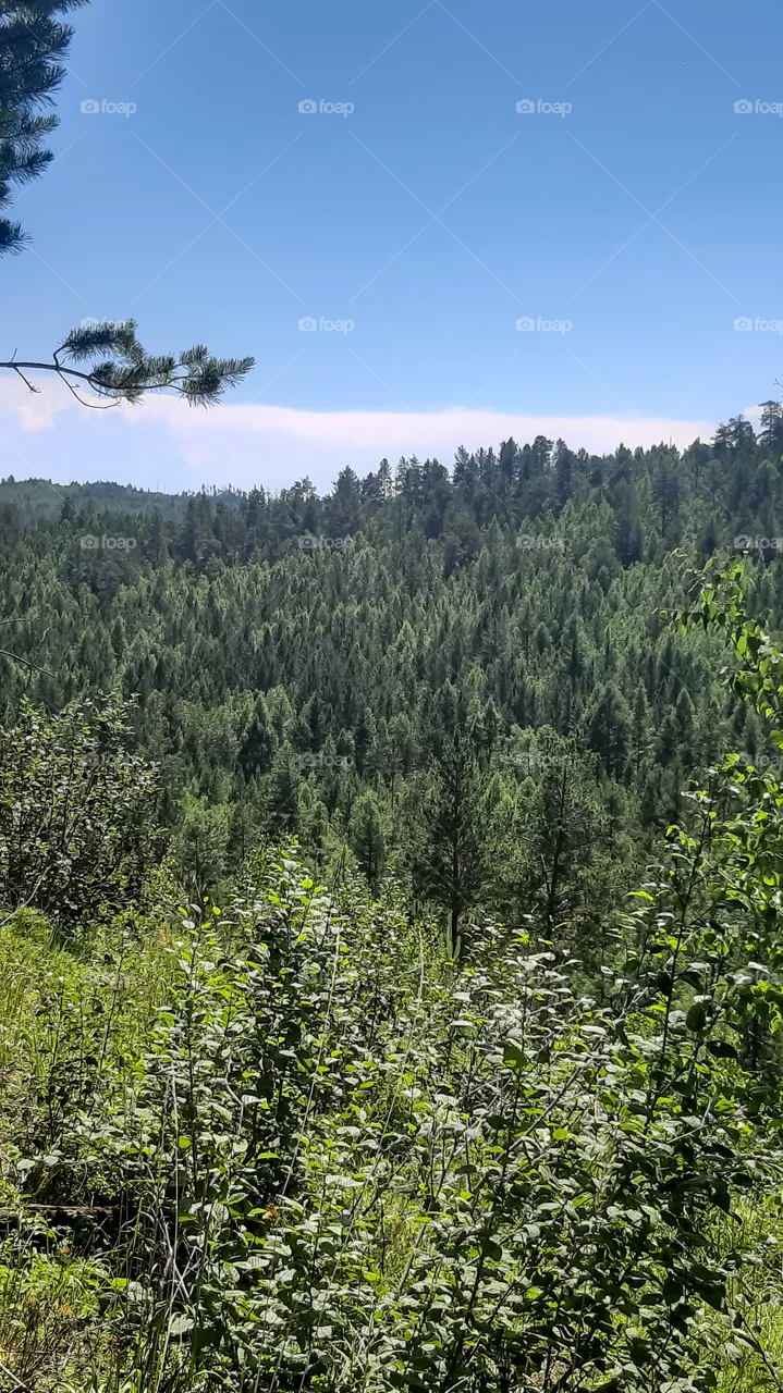 Nature