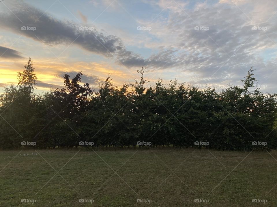 Camping in the countryside 