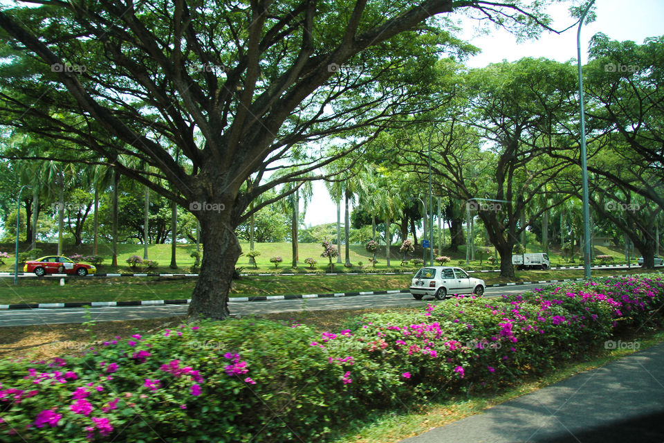 Singapore landscape