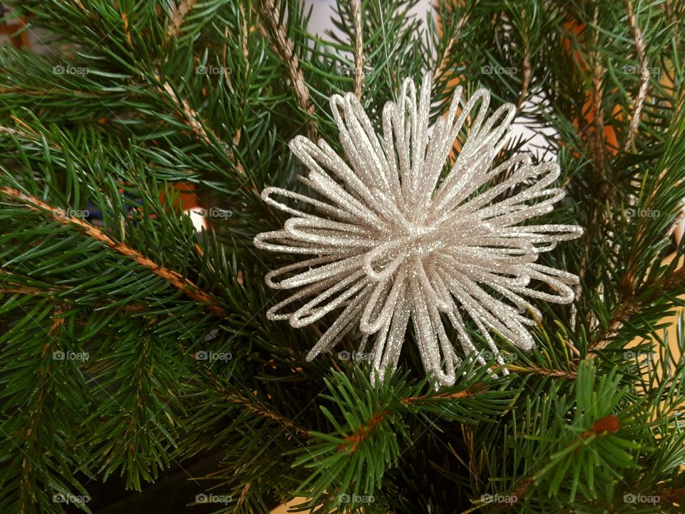 silver Christmas star between green spruce branches