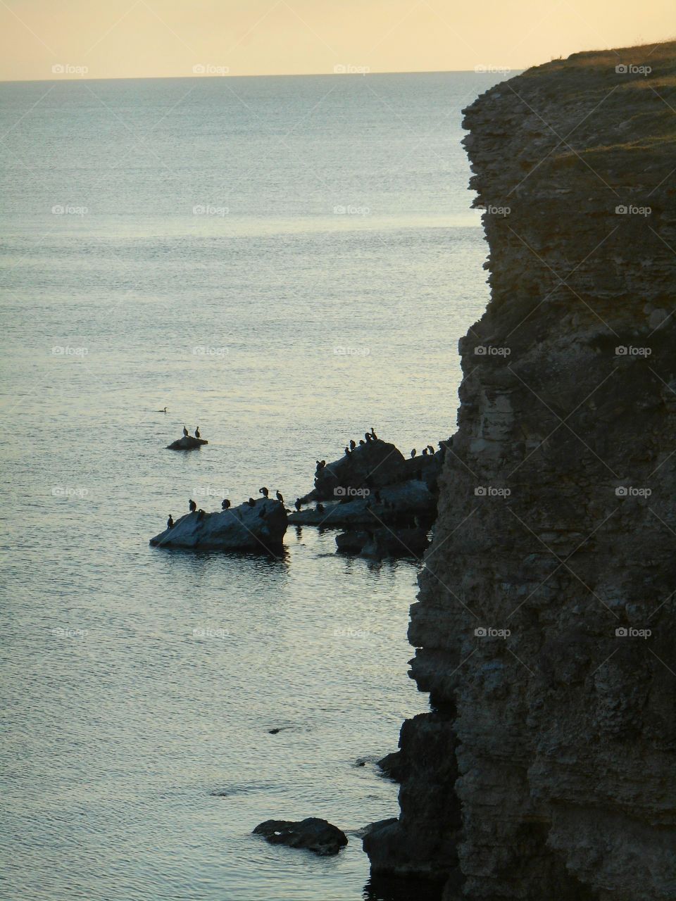 Water, No Person, Sea, Beach, Seashore