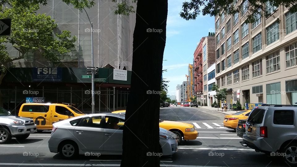 Cars pass by tree Lower west side