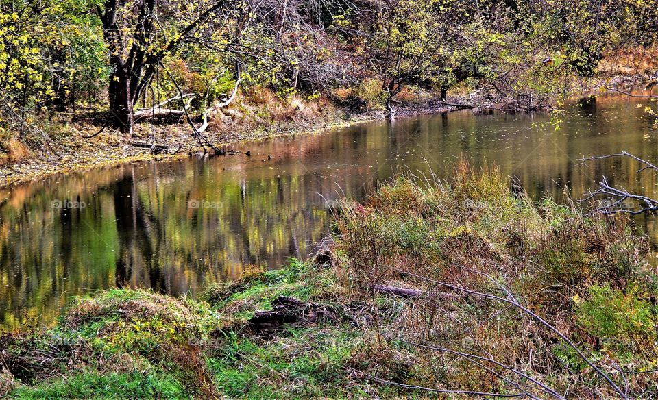 Fall Color Stream