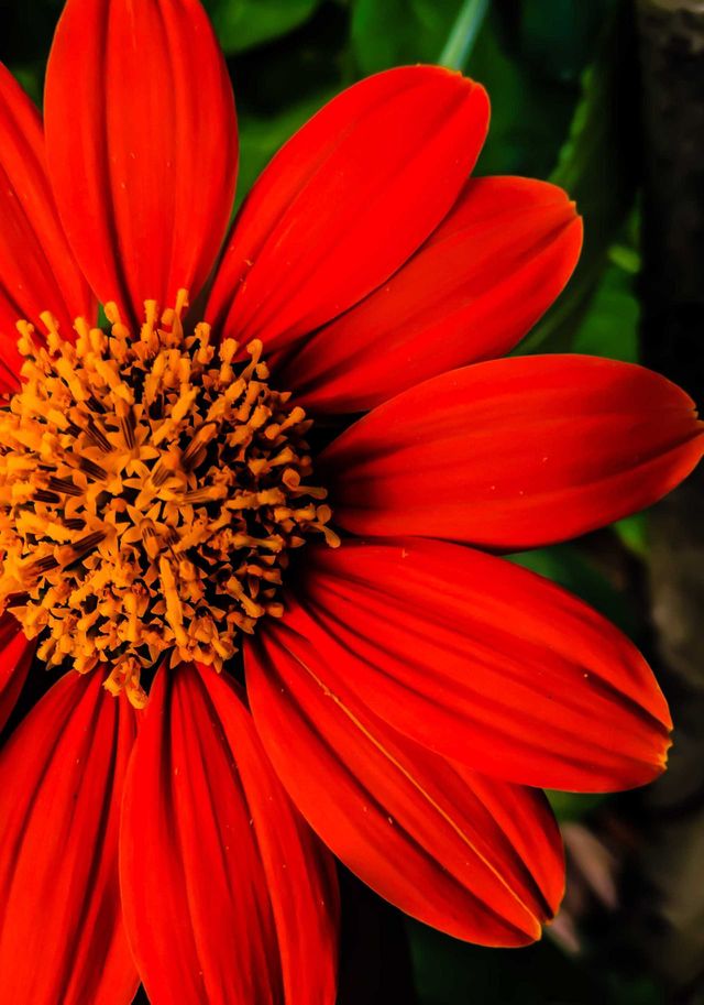 Beauty of nature