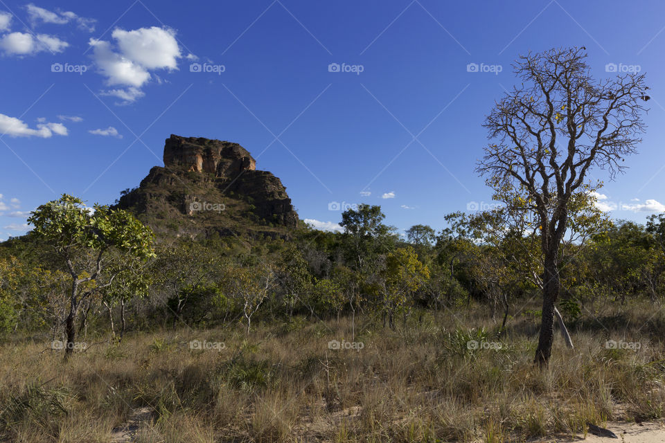 Chapada das Mesas Maranhao Brazil.