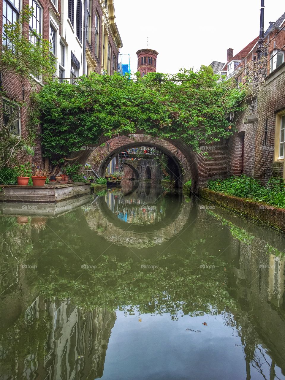 Arch bridge on river