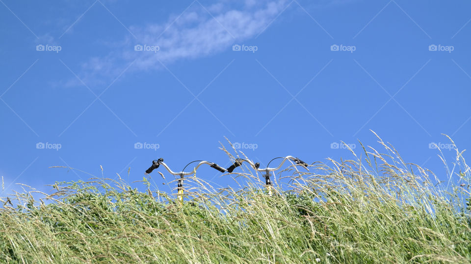 Bikes hiding in the summer grass