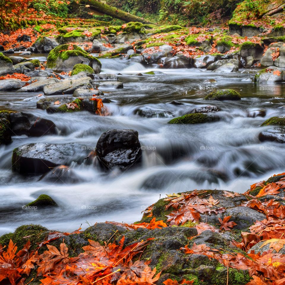 Scenic view of stream water flowing