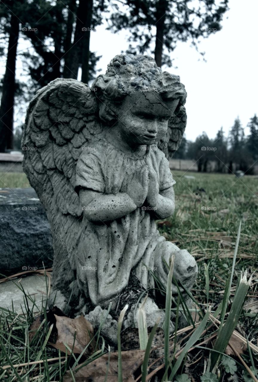 The Devil's PlayGround 🎪