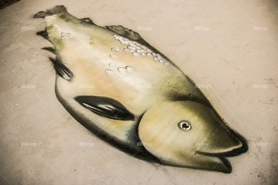 graffiti fish