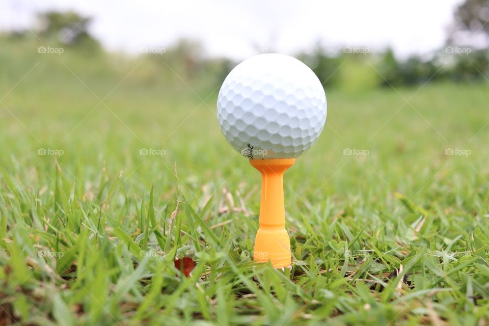 close up golf