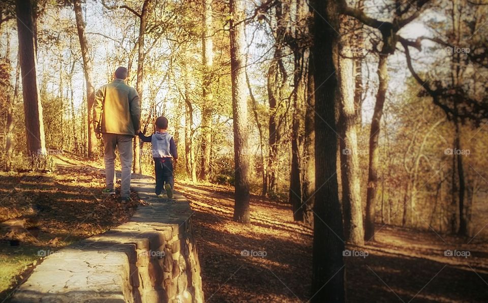 Father and son walking hand in hand down a path in the woods in fall on a rock wall enjoying spending time together