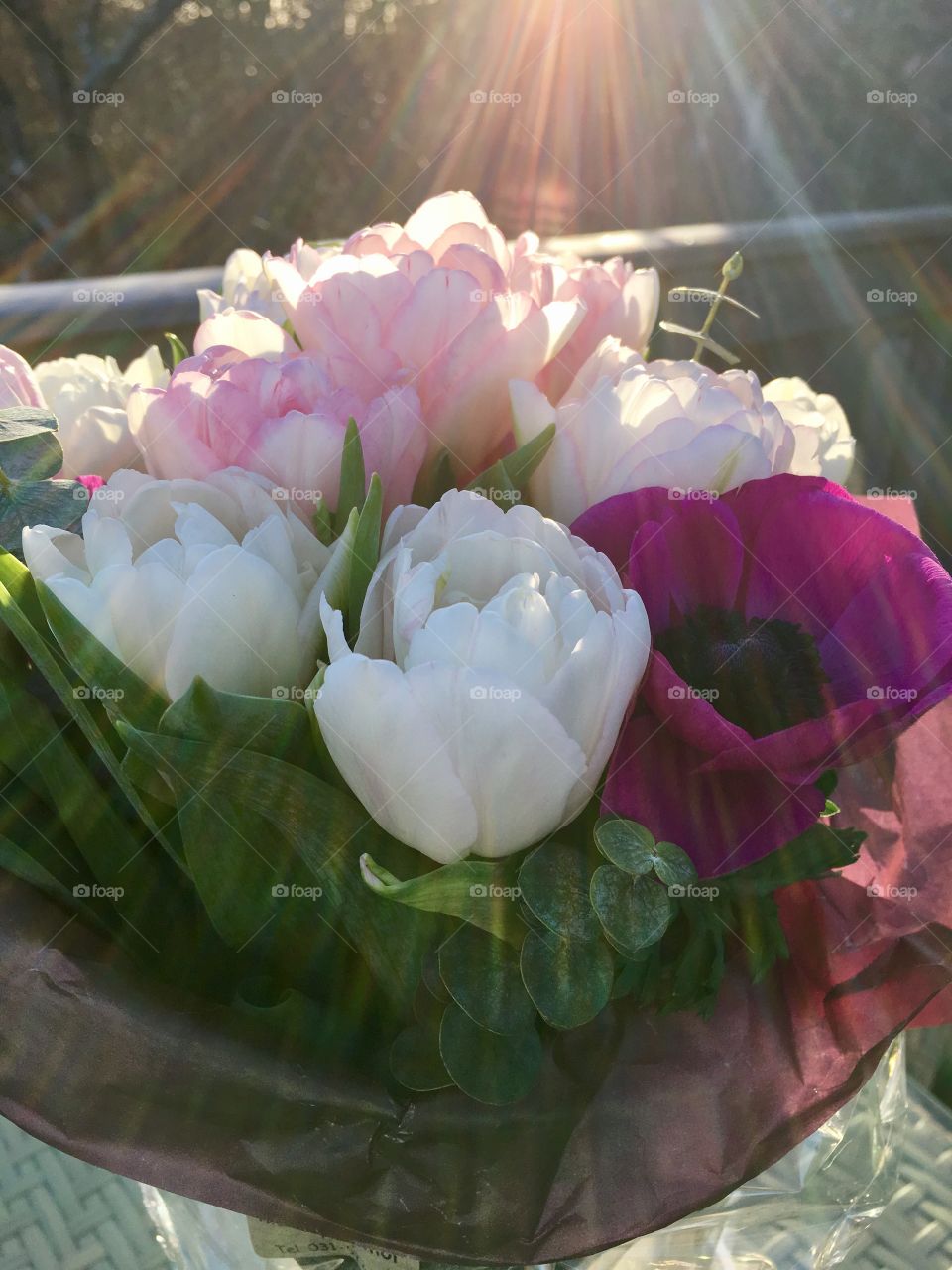 bouquet in sunbeams