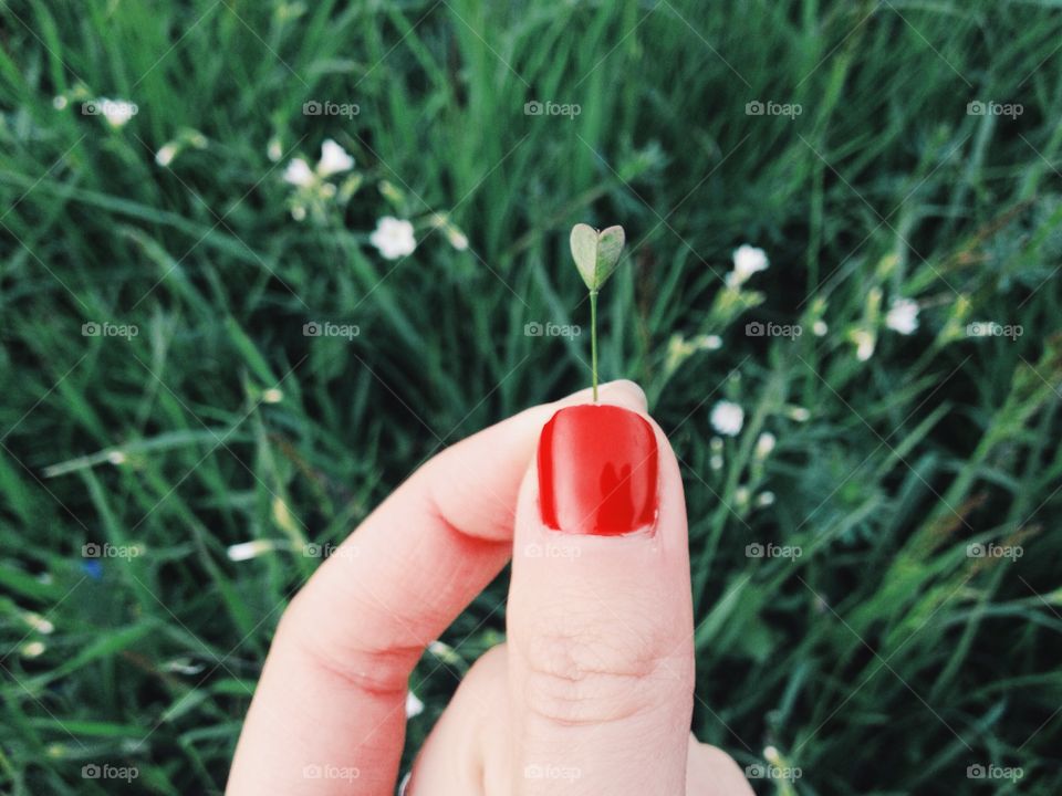 Hand holding little heart 