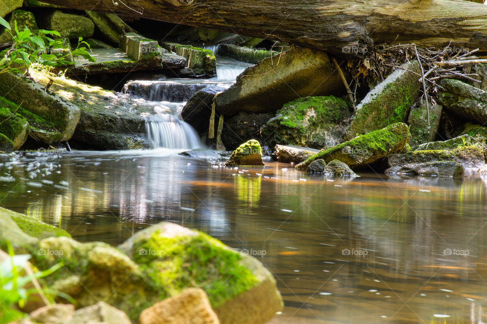 Small stream in Warren, NJ