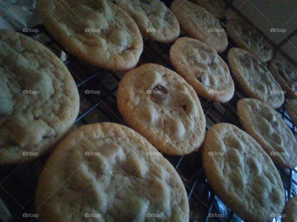 cookies! cookies! cookies!
