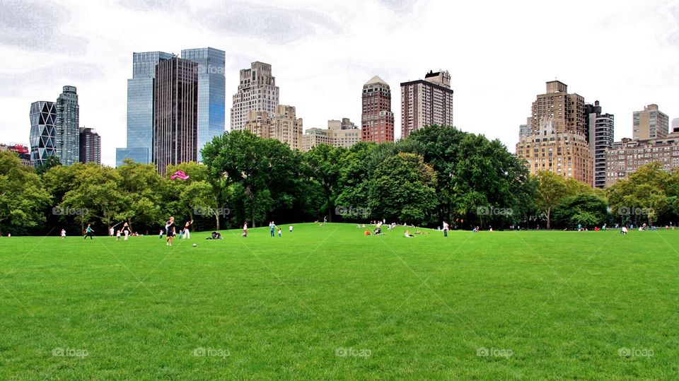 Breathtaking. Central Park, Manhattan, New York City