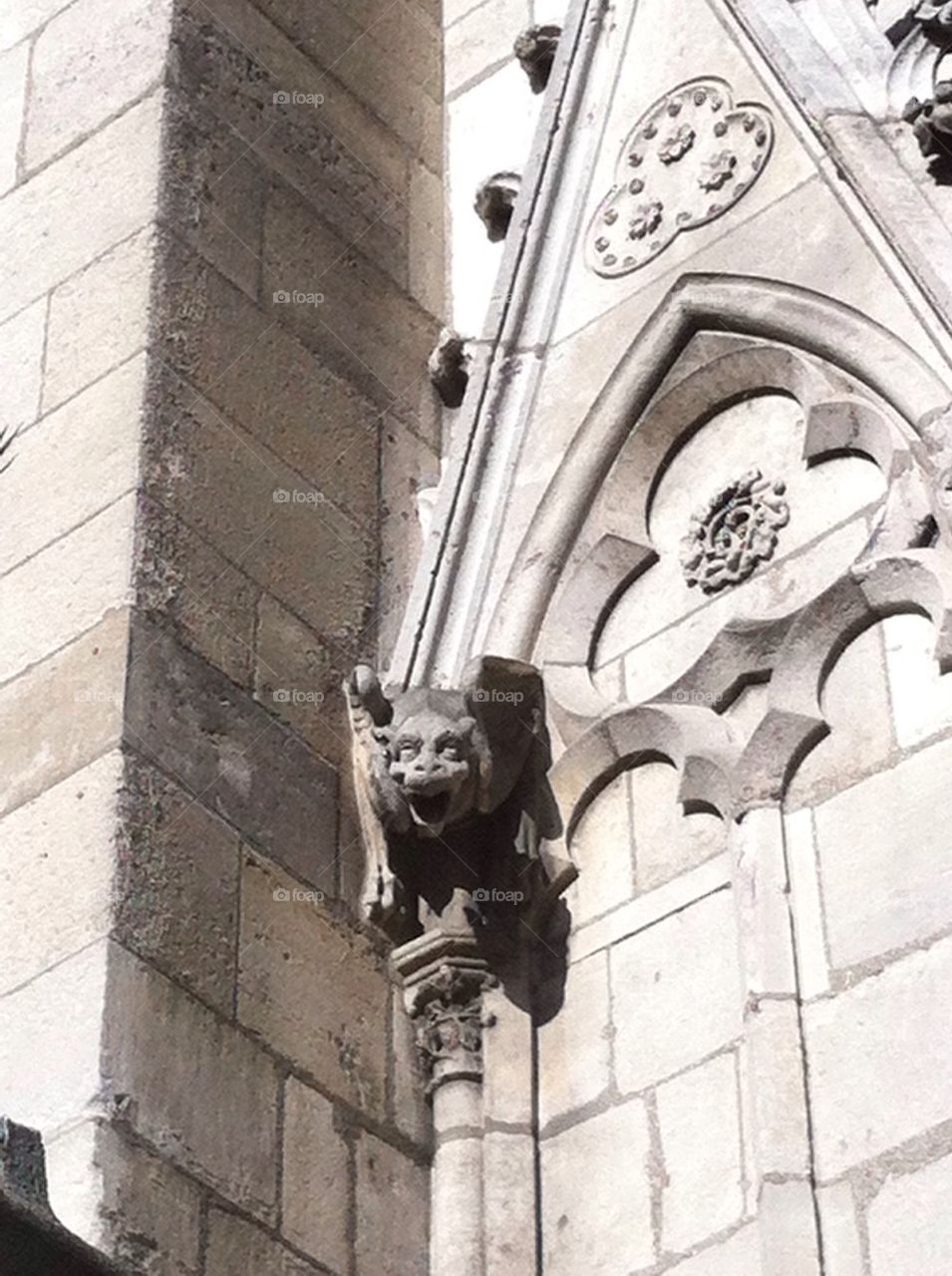 Notre Dame Gargoyle 