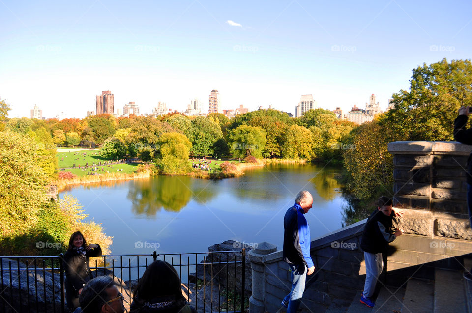 view from NYC'S Central Park. pretty autumn day in Central Park