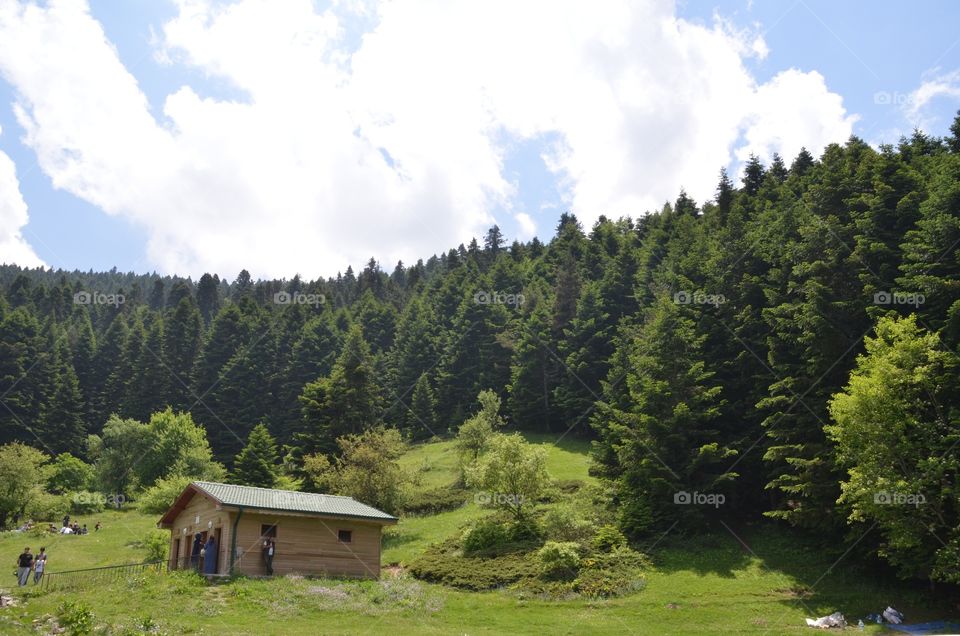 Nature view. Clear breath. The best. 