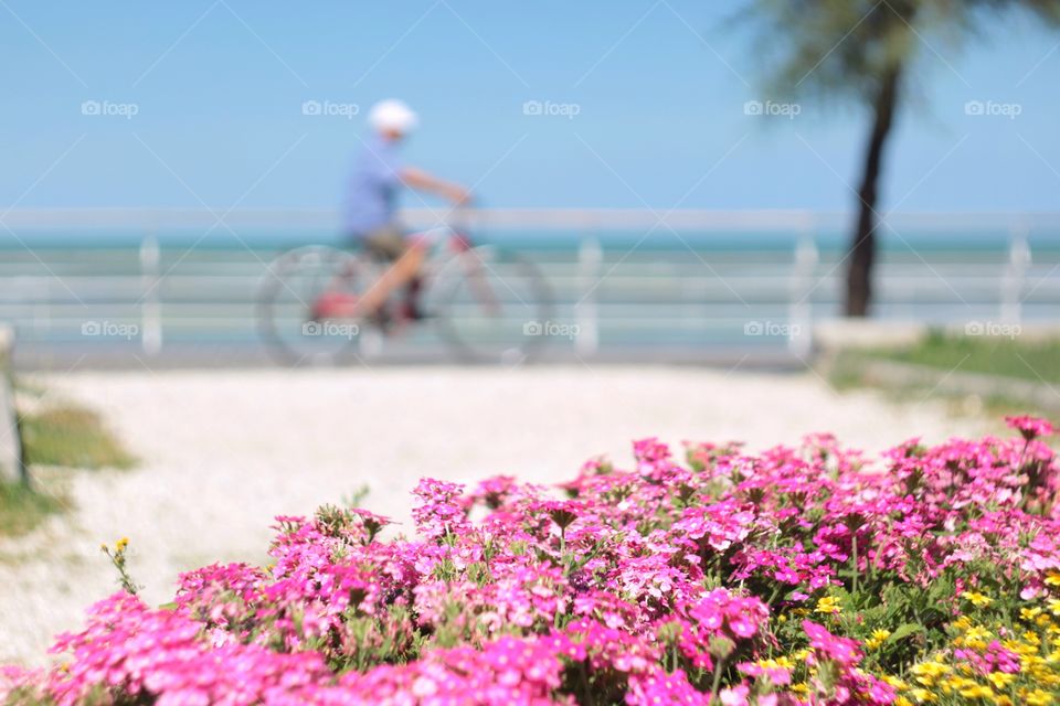 cyclist on the embankment