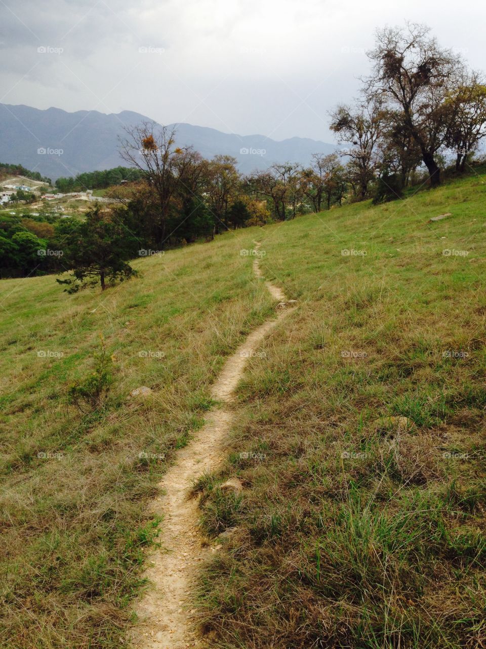 Humble Trail. Small hiking trail in the hills of Huehuetenango, Guatemala