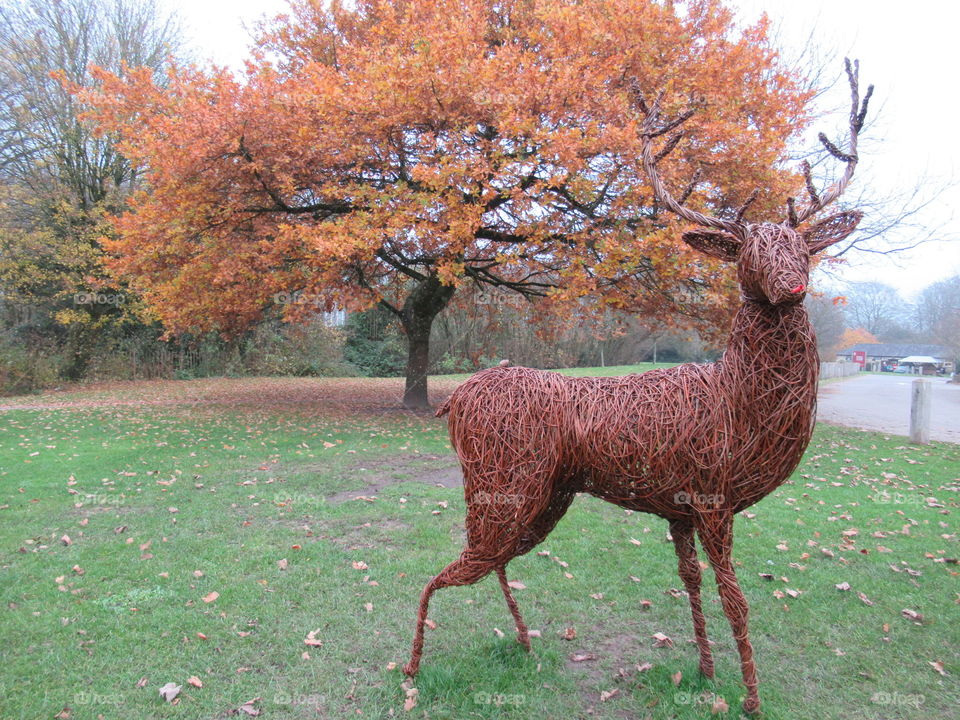 Autumnal tree and statue of a deer. Both of the same orange colours🍁🍂