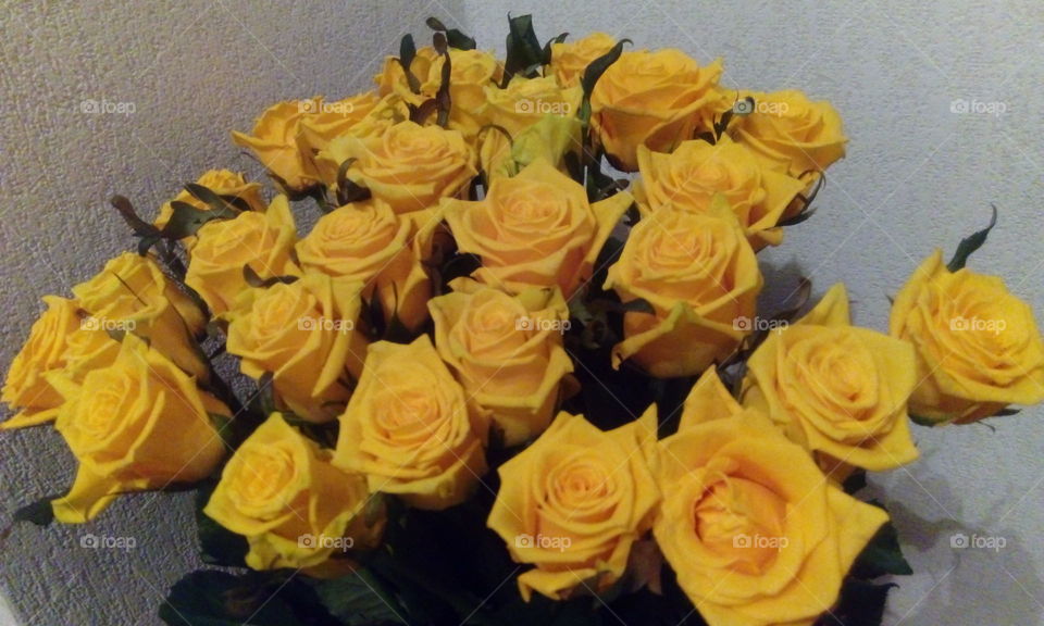 yellow roses